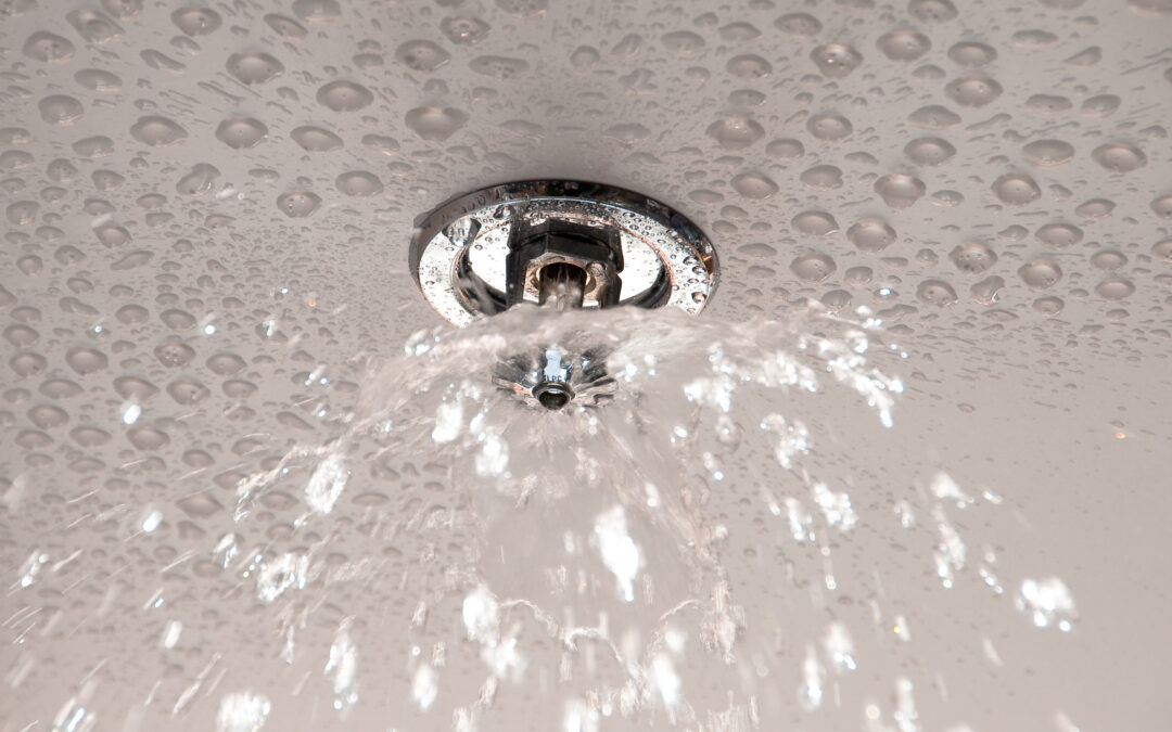 Sprinkler Save: University of Essex