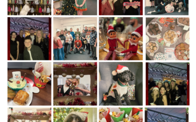 Festive Fun at Triangle!